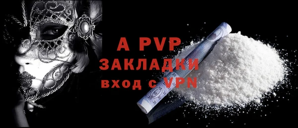 прущие грибы Верея