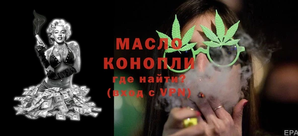 мдпв Верхний Тагил