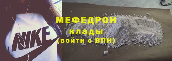 прущие грибы Верея