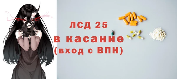 прущие грибы Верея