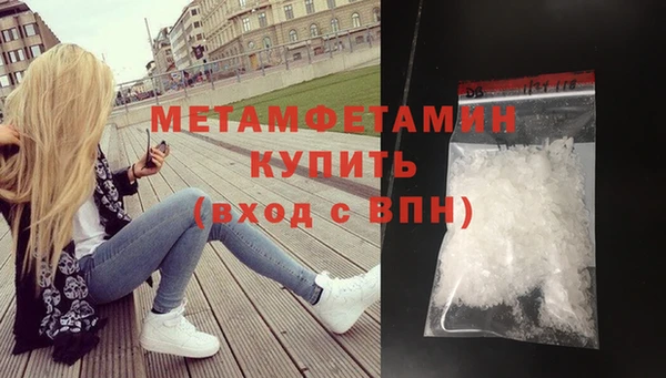 прущие грибы Верея