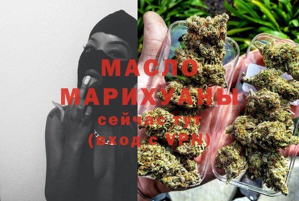 мдпв Верхний Тагил