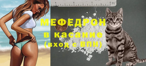 мдпв Верхний Тагил