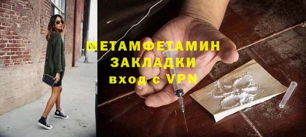 прущие грибы Верея