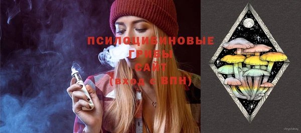 прущие грибы Верея